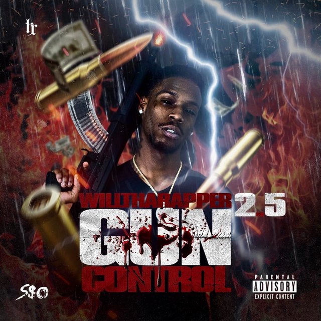 Gun Control 2.5
