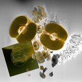 Catharsis (Down Bad Remix)