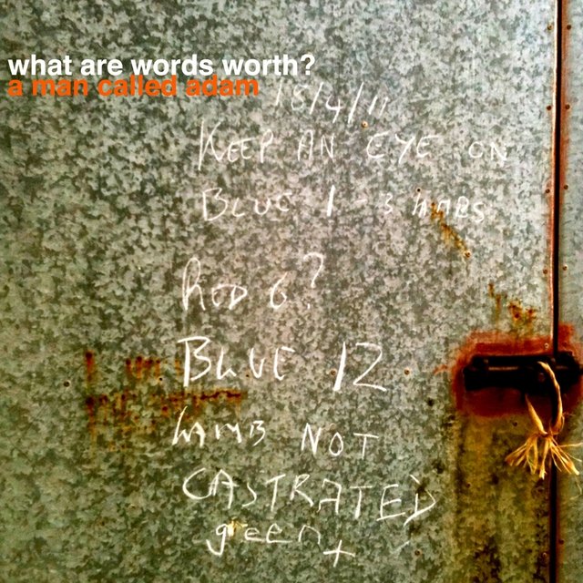 What Are Words Worth?