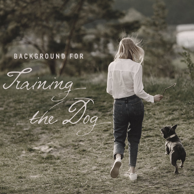 Background for Training the Dog - Teach Your Pet to Respond to Commands and Have Fun with Your Best Friend