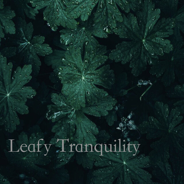 Leafy Tranquility