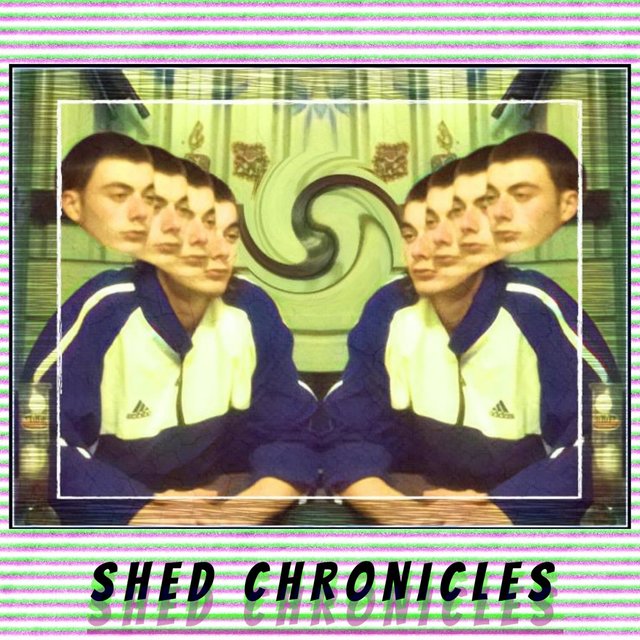 Shed Chronicles