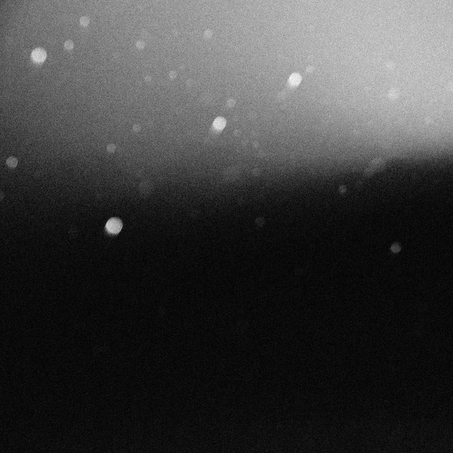 Echosphere