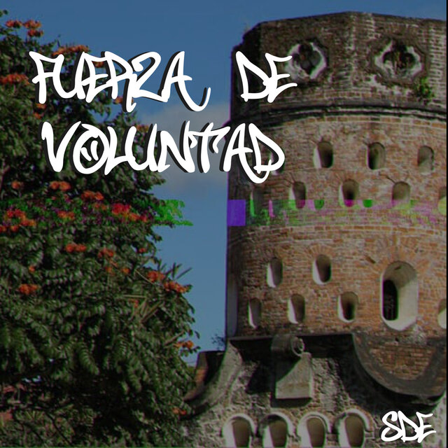 FUERZA DE VOLUNTAD (F.D.V)