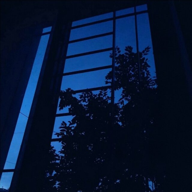 Dreamfall