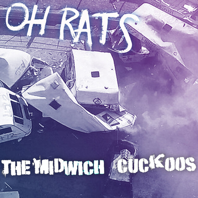 Oh Rats