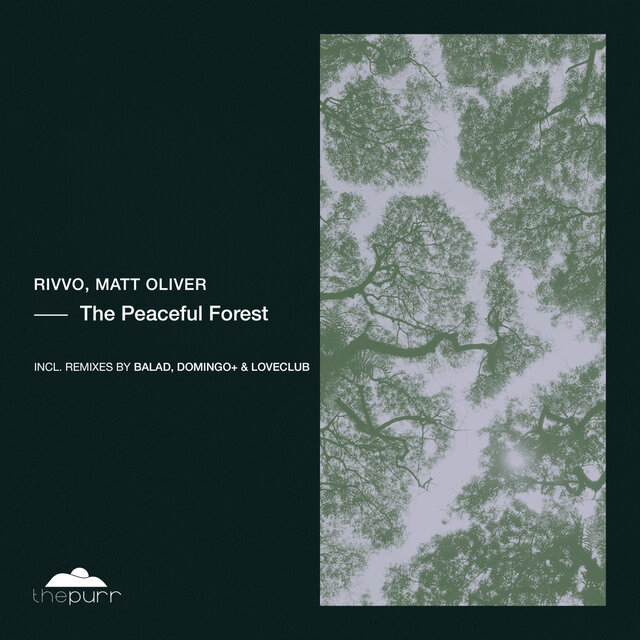 The Peaceful Forest