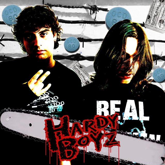 HARDY BOYZ