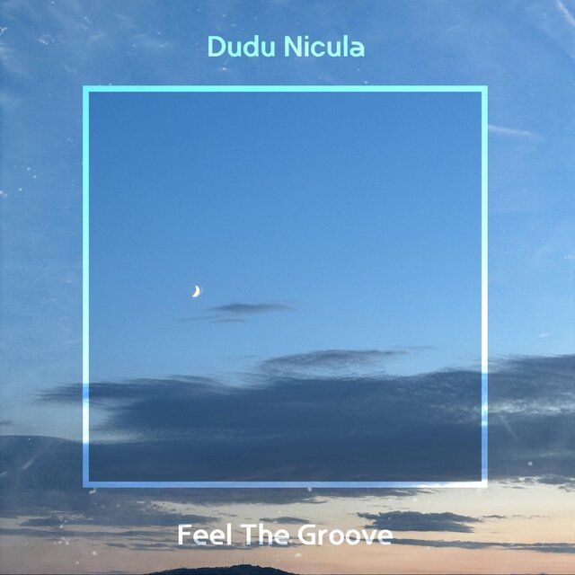 Feel The Groove
