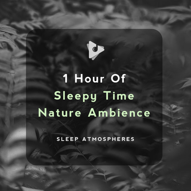 1 Hour of Sleepy Time Nature Ambience