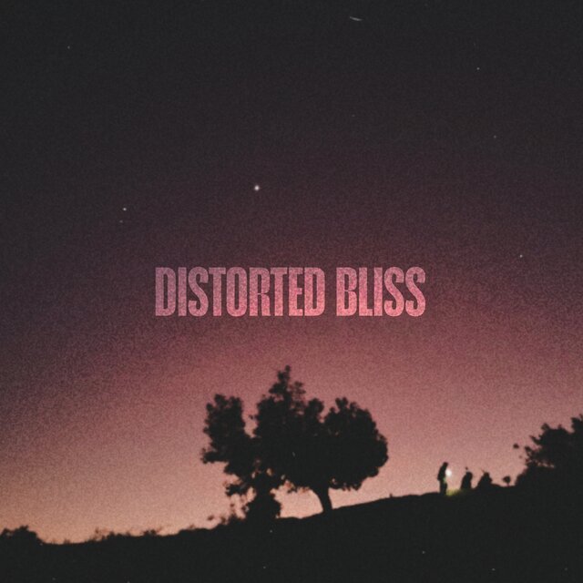 Distorted Bliss