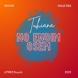 No Endim Osem (feat. Malz D & Dnvnd)