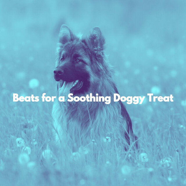 Beats for a Soothing Doggy Treat