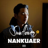 Sunflower.（向日葵）