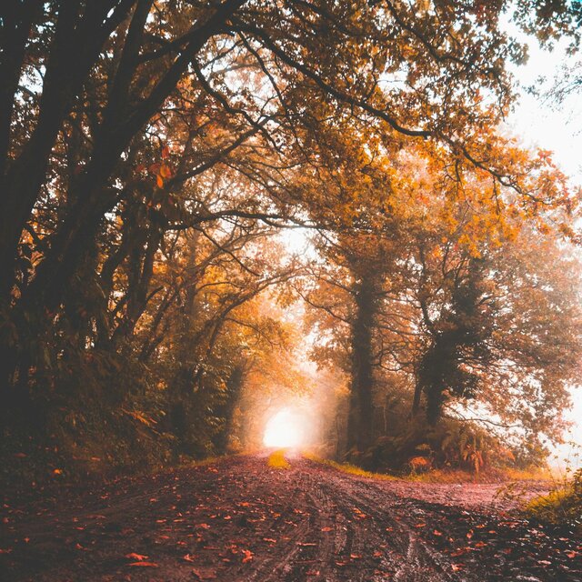 Your Smile in Autumn