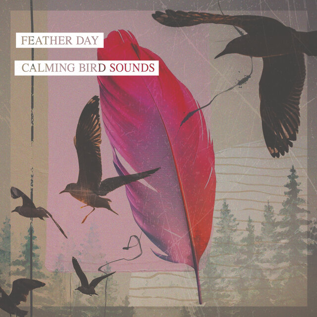 Feather Day