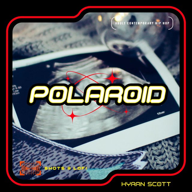 Polaroid