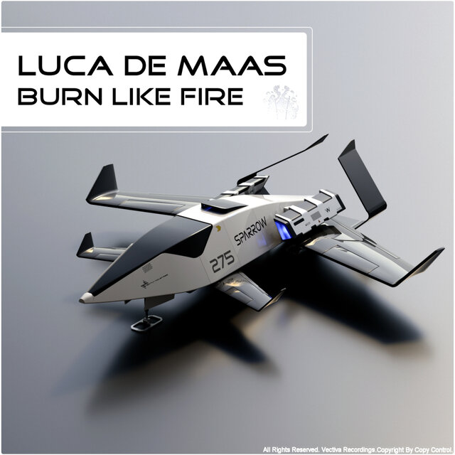 Burn Like Fire