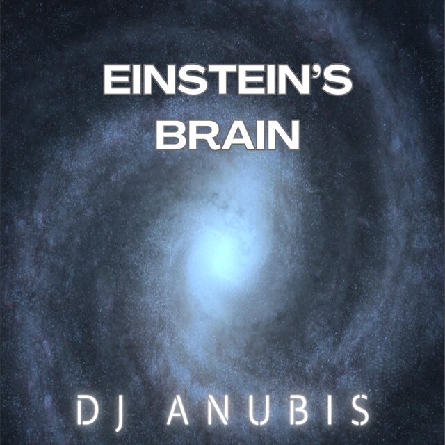 Einstein's brain