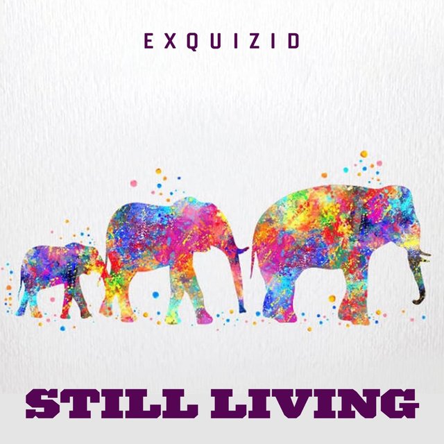STILL LIVING