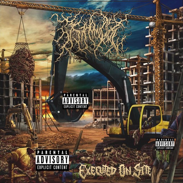 Executed on Site
