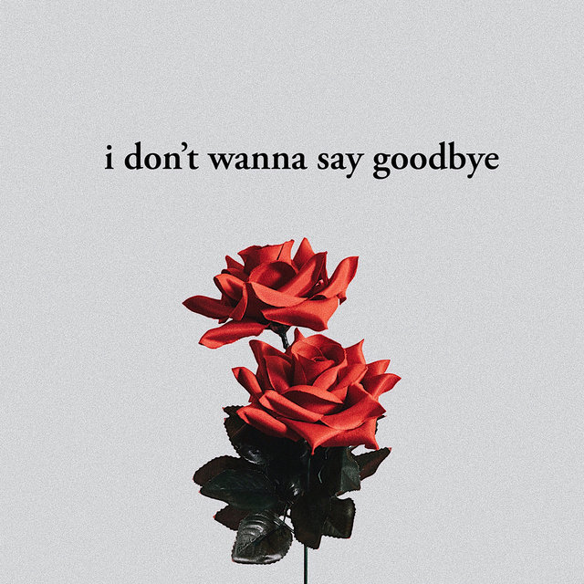 I Don't Wanna Say Goodbye