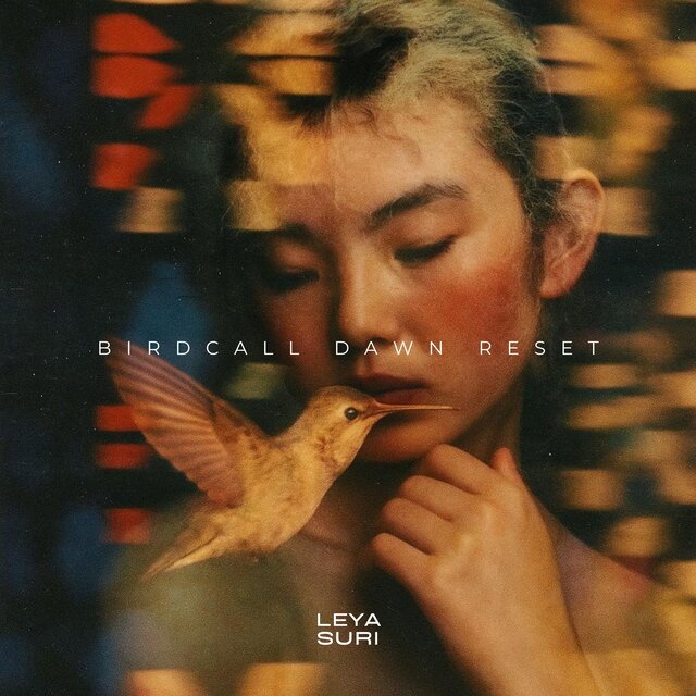 Birdcall Dawn Reset