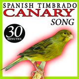 Spanish Timbrado Canary Song Birds (II) Birds Sounds