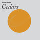 Cover art for album Cedars by Field Works
