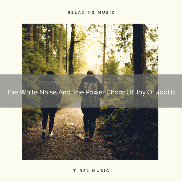 The White Noise And The Power Chord Of Joy Of 400Hz