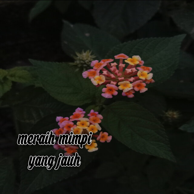 meraih mimpi yang jauh