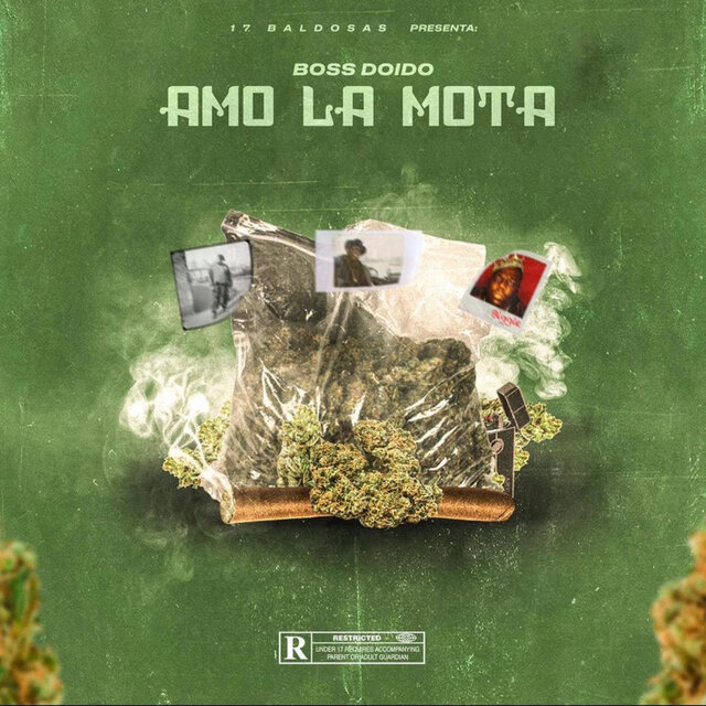 AMO LA MOTA