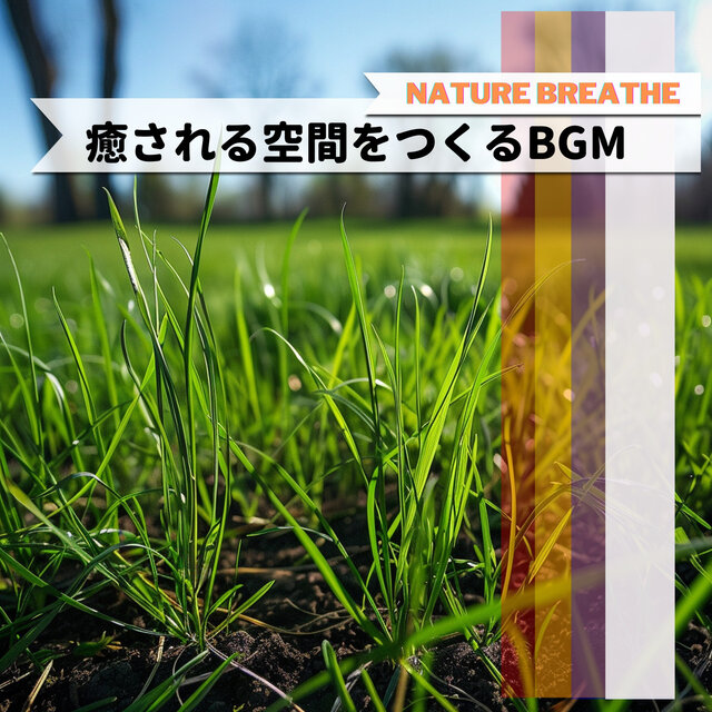 癒される空間をつくるBGM