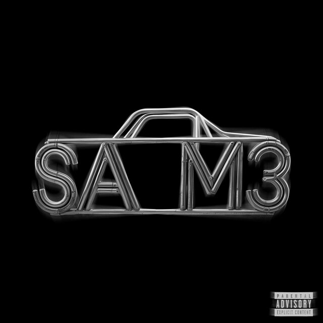 SAM3