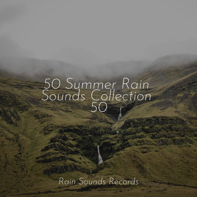 50 Summer Rain Sounds Collection 50