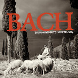 Brandenburg Concerto No.6 in B-flat Major, Bwv 1051: I. (allegro)