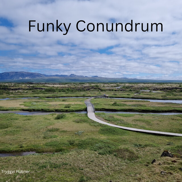 Funky Conundrum