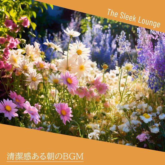 清潔感ある朝のbgm