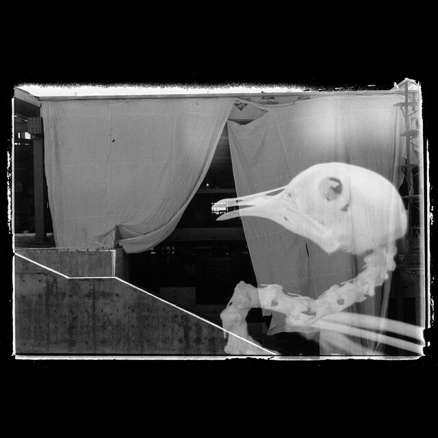Somnambulist