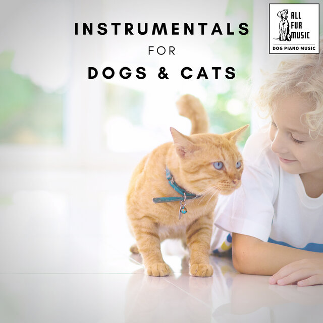 Instrumentals for Dogs & Cats
