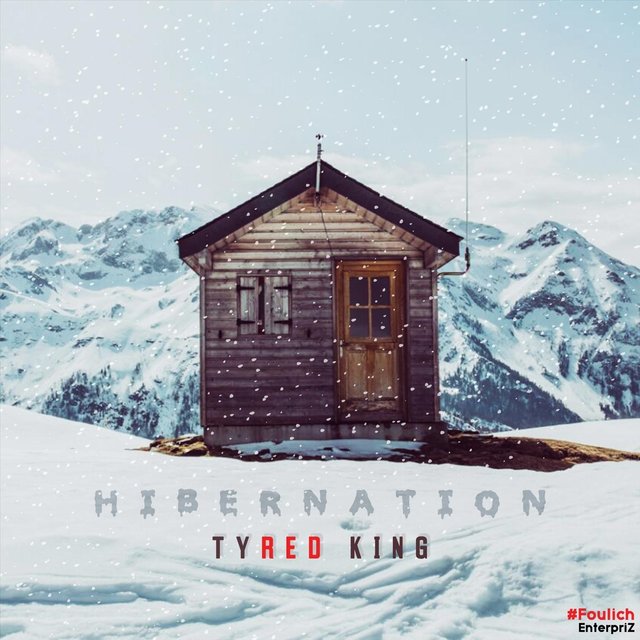 Hibernation