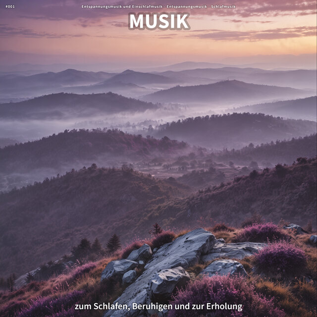 #001 Musik zum Schlafen, Beruhigen und zur Erholung