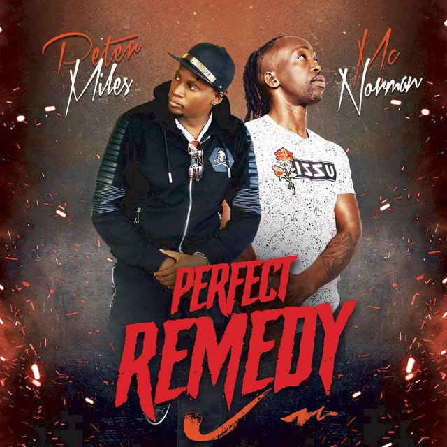 Perfect Remedy (feat. Peter Miles)