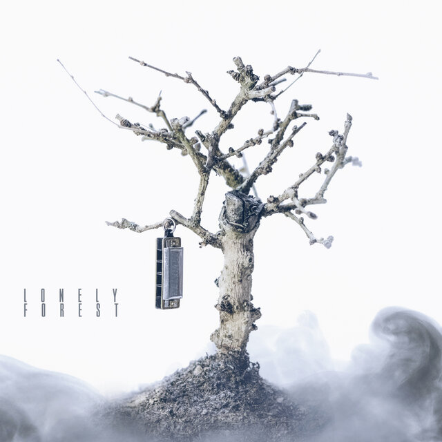 Lonely Forest