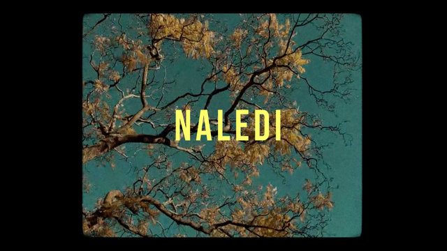 Naledi