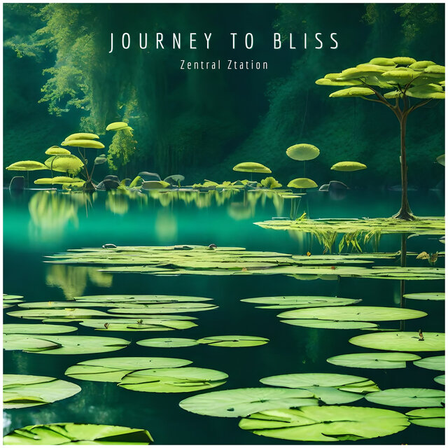 Journey to Bliss