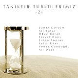 Eşinden Ayrılan Yaralı Ördek