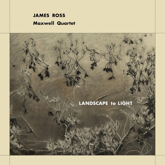 Landscape to Light