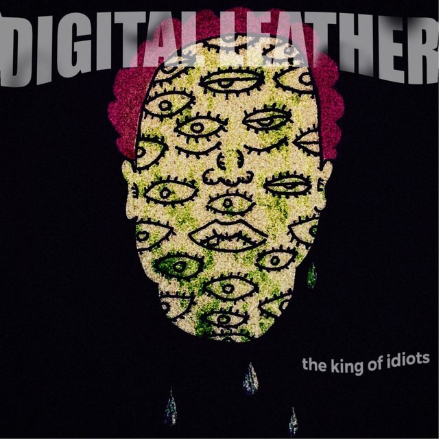 The King of Idiots