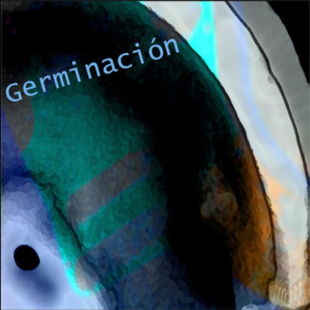 Germinación